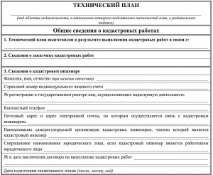 Образец Технического плана на дом